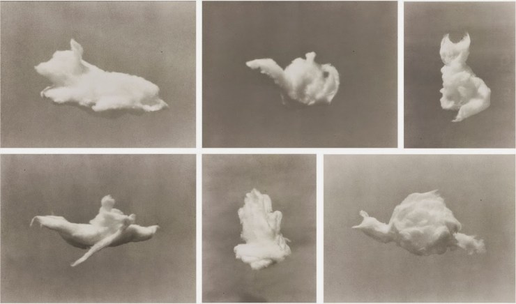 Muniz-N09010-135_web